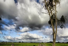 Brown University shooting live updates: New images released as search for gunman continues